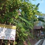 Konsultan Berikan Surat Teguran Program…