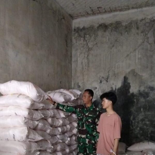 Mendukung Program Ketahanan Pangan, Kodim 0602/Serang Cek…