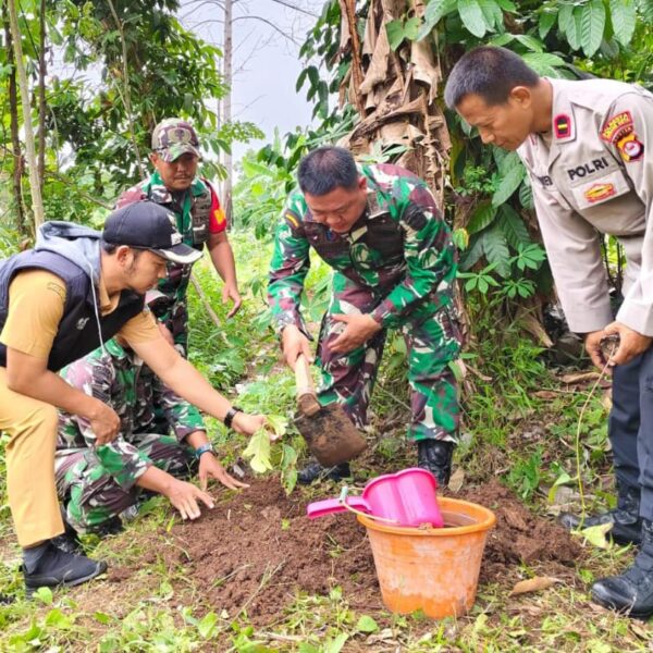 Koramil 0602-07/Waringinkurung Gandeng Pemda Dan Polsek Tanam Pohon…