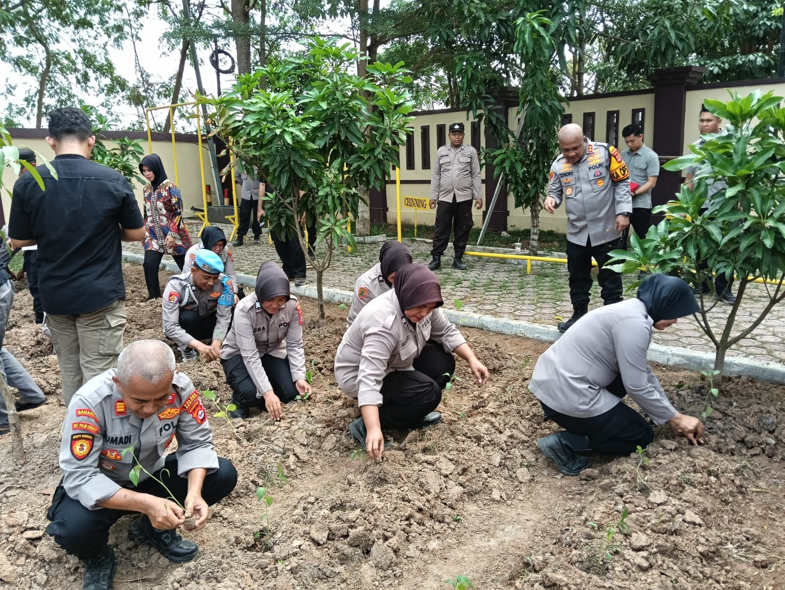 Dukung Ketahanan Pangan, Kapolres Serang Mamfaatkan Pekarangan Mapolres…