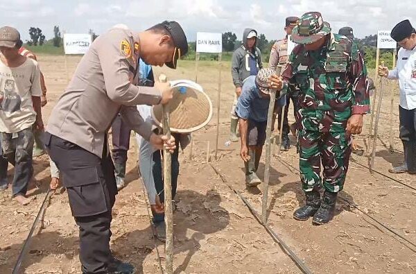 Polsek Jawilan Bersama Muspika Melaksanakan Kegiatan Tanam…