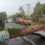 Babinsa Gerak Cepat Efakuasi Pohon&hellip;