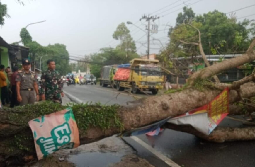 Babinsa Gerak Cepat Efakuasi Pohon Tumbang