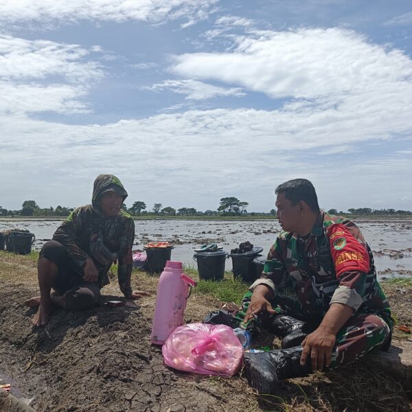 Curhatan Petani, Dukungan TNI dalam Meningkatkan Ketahanan Pangan 