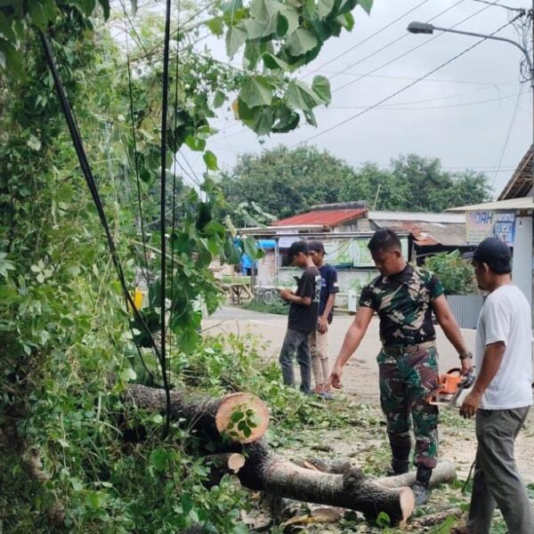 Bersama Masyarakat Anggota TNI Bersihkan Pohon Tumbang yang…