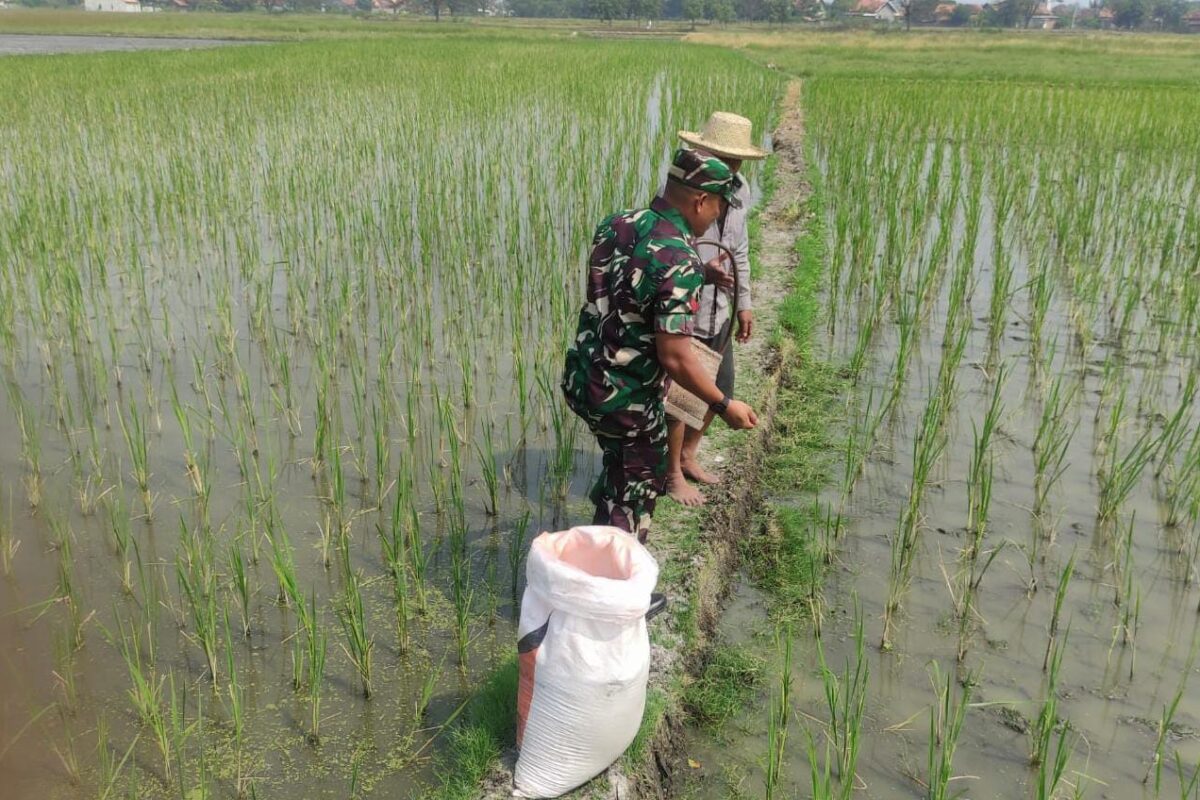 Dukung Program Pemerintah, Babinsa Kodim 0602/Serang Dampingi&hellip;