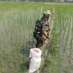 Dukung Program Pemerintah, Babinsa Kodim&hellip;