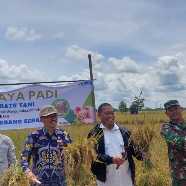 Letkol Inf Agus Praminto Hadiri Panen Raya Padi…