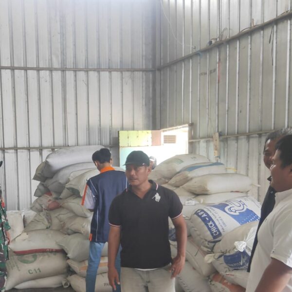 Serapan Gabah di Desa Tenjoayu, Tanara: Babinsa Dampingi&hellip;