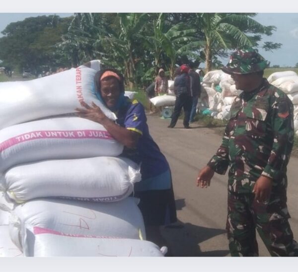 Babinsa Koramil 0602-02/Kasemen Bantu Bulog Serap 6,5 Ton&hellip;