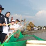 Panen Udang Vaname, Bupati Ratu Zakiyah Dorong Desa Domas jadi Kampung Nelayan Merah Putih
