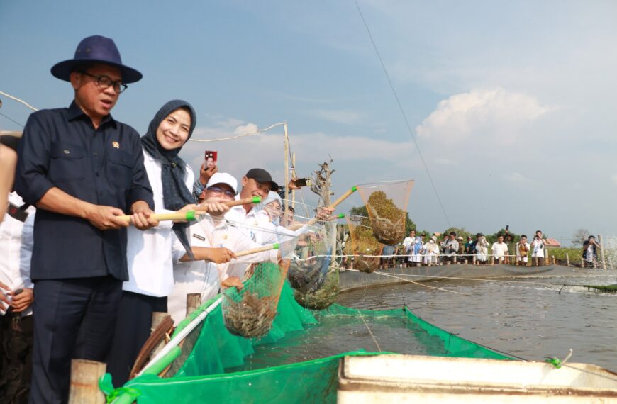 Panen Udang Vaname, Bupati Ratu&hellip;