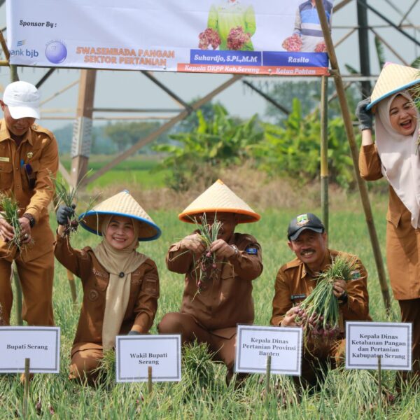 Bupati Ratu Zakiyah Launching Program Ratu Tani…