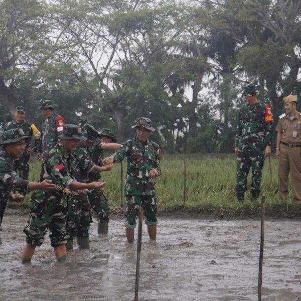 Kodim 0602/Serang Gelar Latihan Sistem Blok Ketahanan…