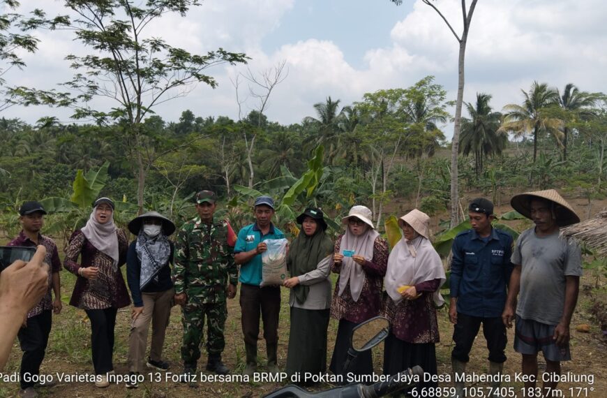 Serka Arpan Babinsa Koramil 0113/Cibaliung Kodim 0601/Pandeglang&hellip;
