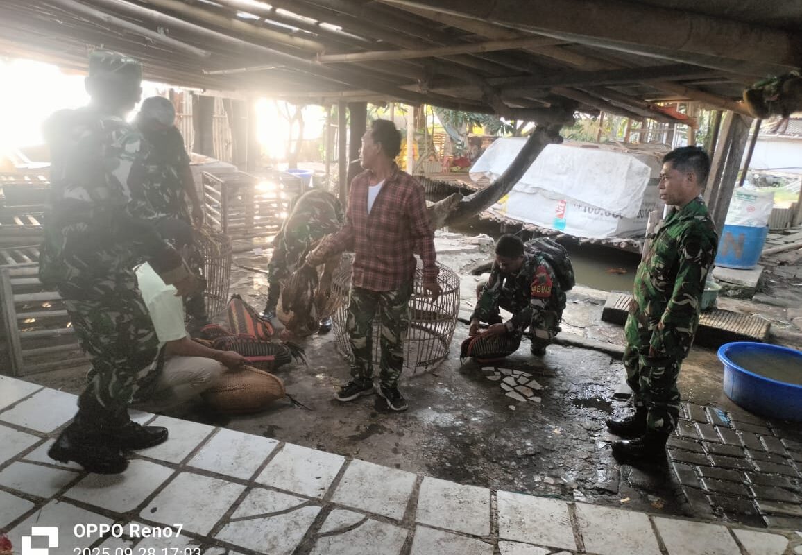 Koramil 0602-10/Pontang Bersama Warga Bubarkan Arena Judi…