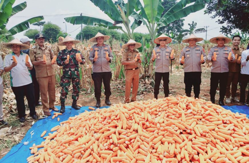 PANEN JAGUNG WUJUD SINERGI TNI, POLRI DAN&hellip;