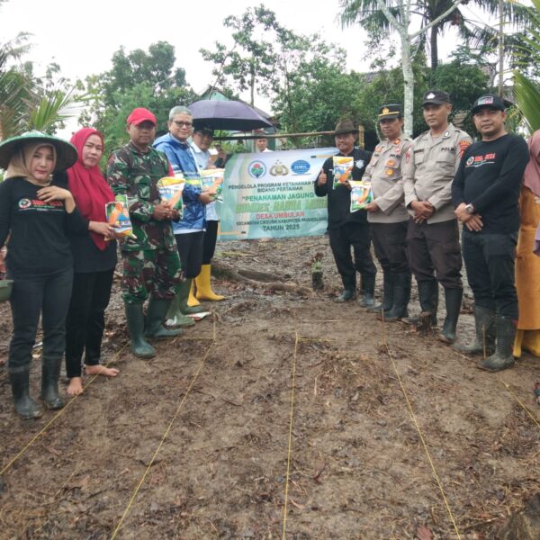 GIAT PENANAMAN JAGUNG HIBRIDA SELUAS 4 HEKTAR&hellip;