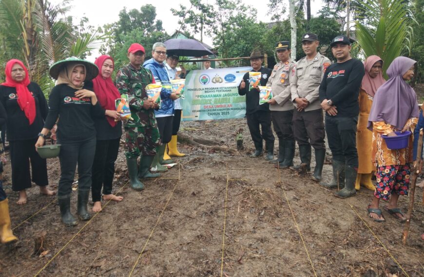 GIAT PENANAMAN JAGUNG HIBRIDA SELUAS 4 HEKTAR…