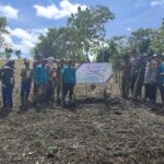 Penanaman Jagung Hibrida Bumdes Jaya&hellip;