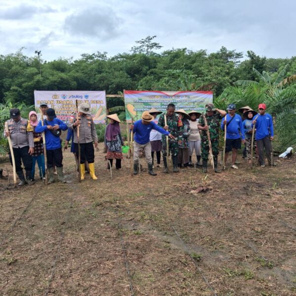 Penanaman Jagung Serentak Kuartal IV di Lahan&hellip;
