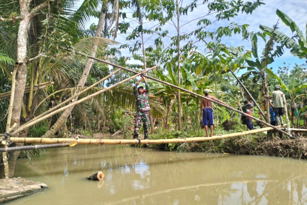 Babinsa Koramil 0116/Cikeusik Gotong Royong Bersama Warga…