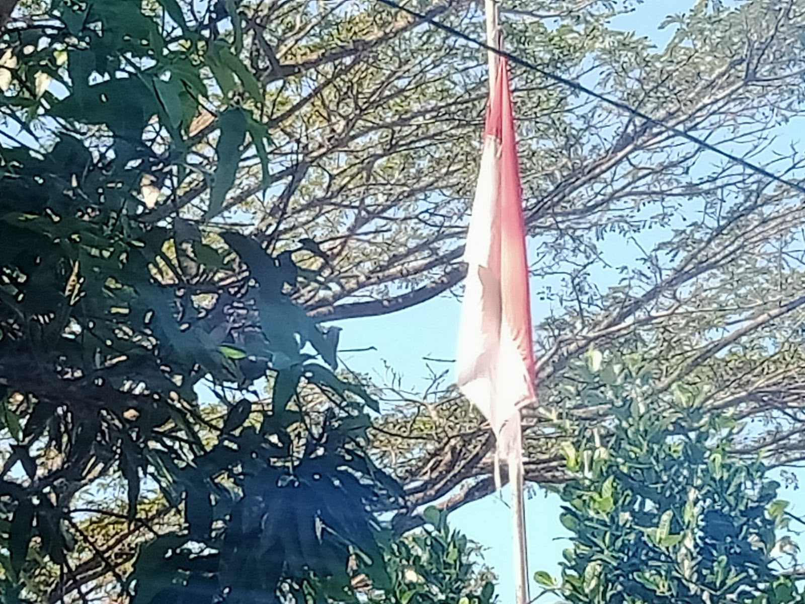 Bendera Merah Putih Sobek Masih Berkibar di Kantor…